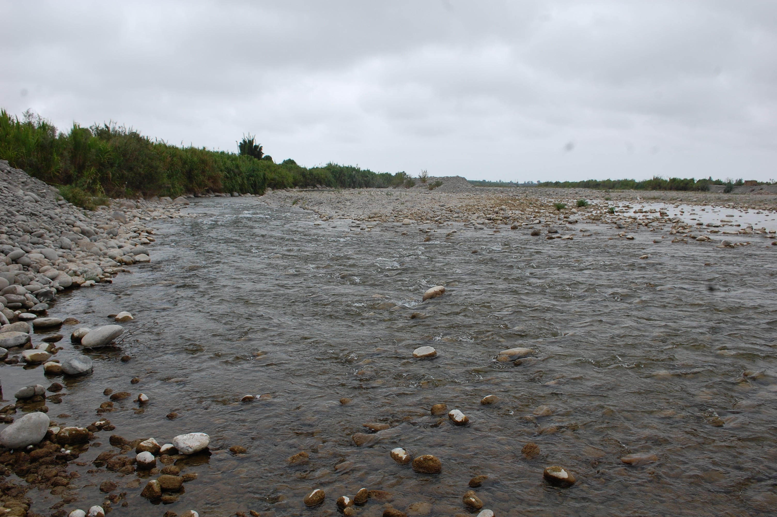 RC01 View downstream