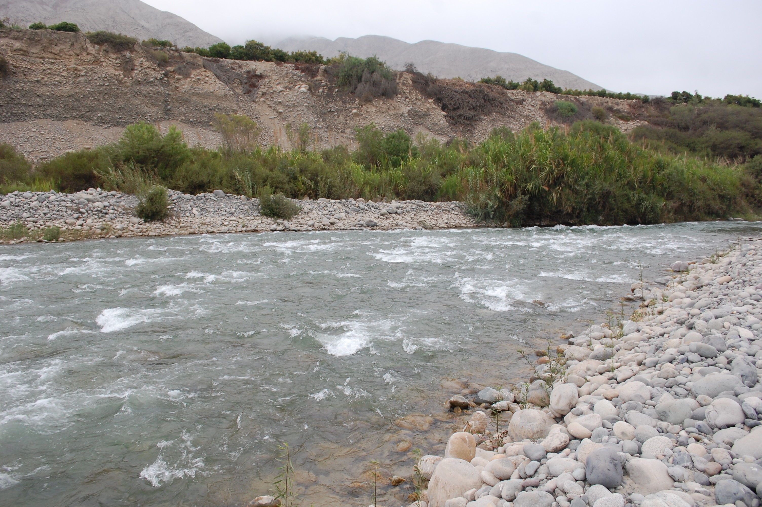 RC08 View downstream