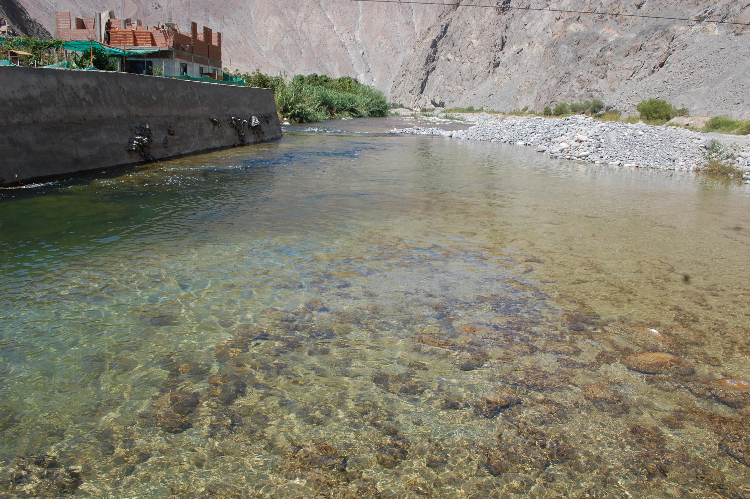 RC03 View downstream