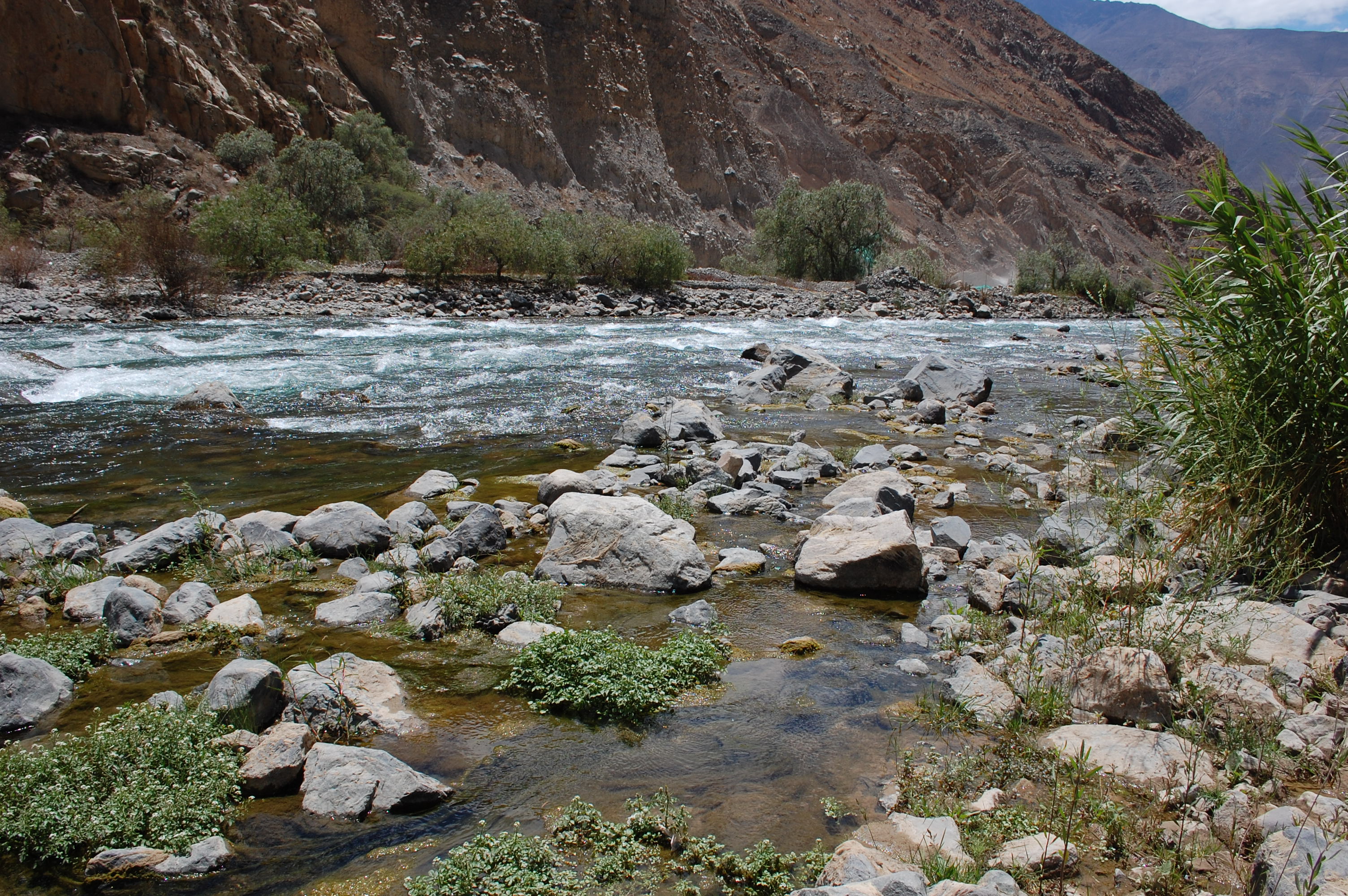 RC06 View downstream