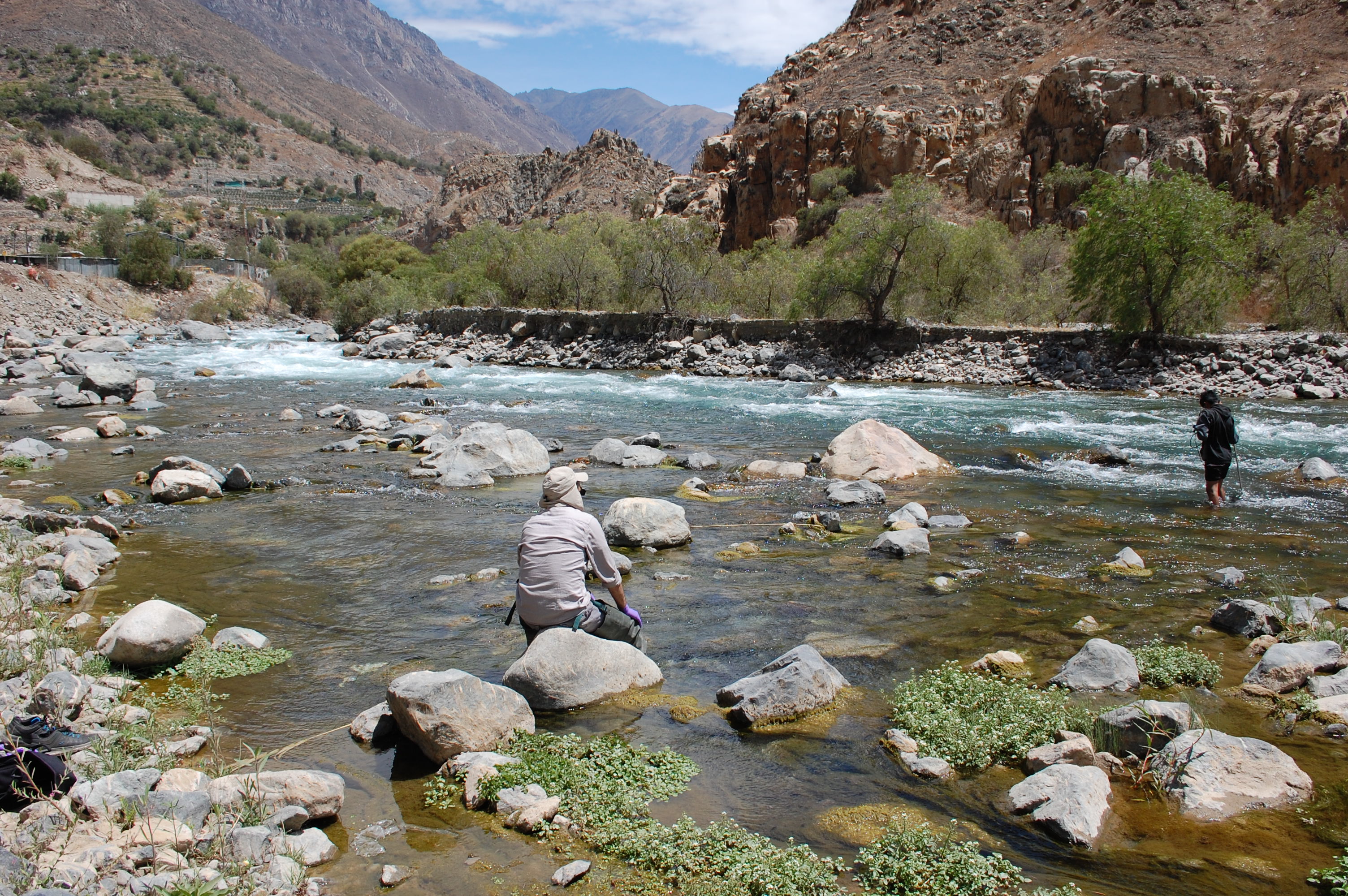 RC06 View upstream