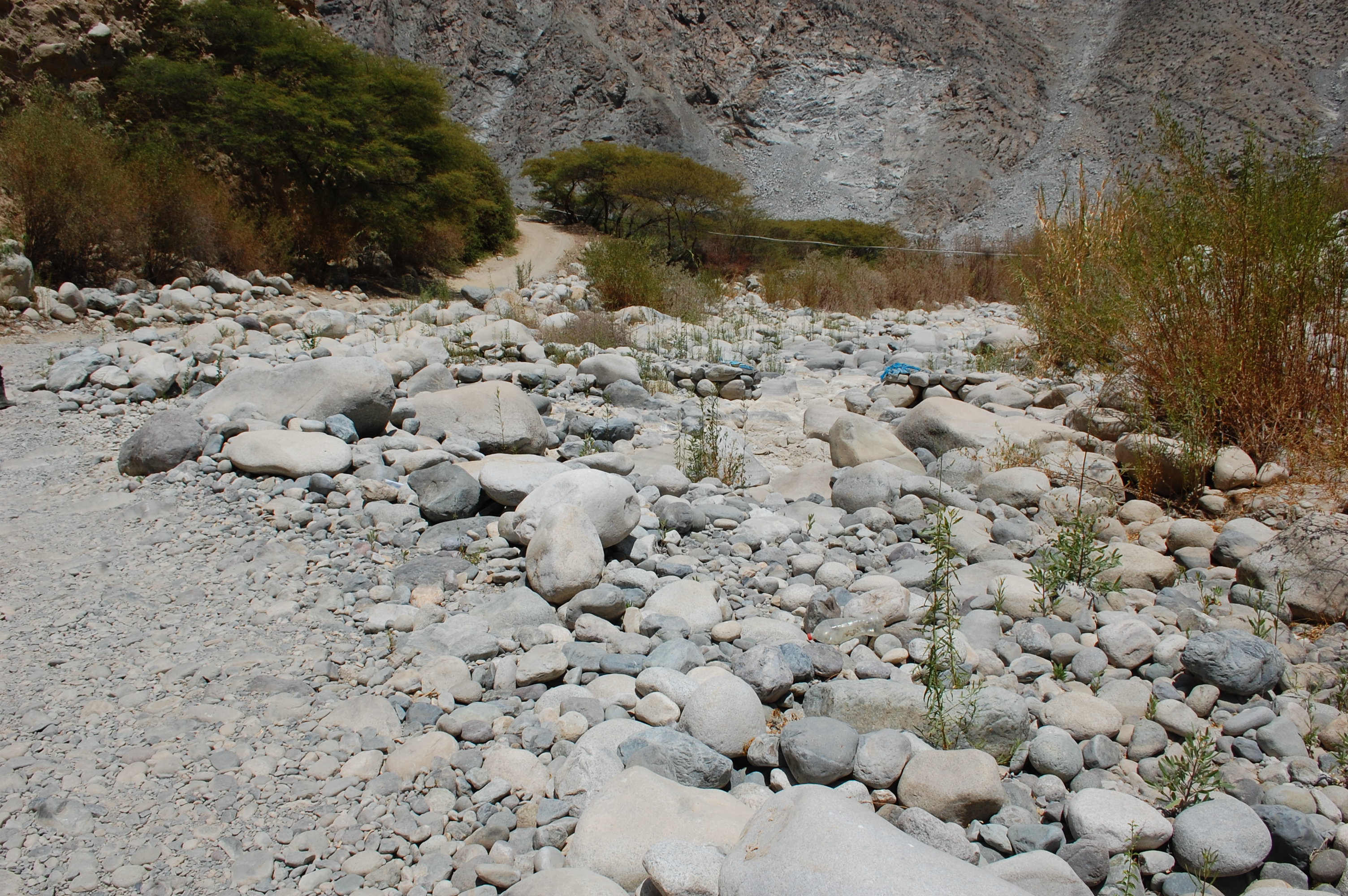 Site T01A - View downstream from the study site. (John Forrest)