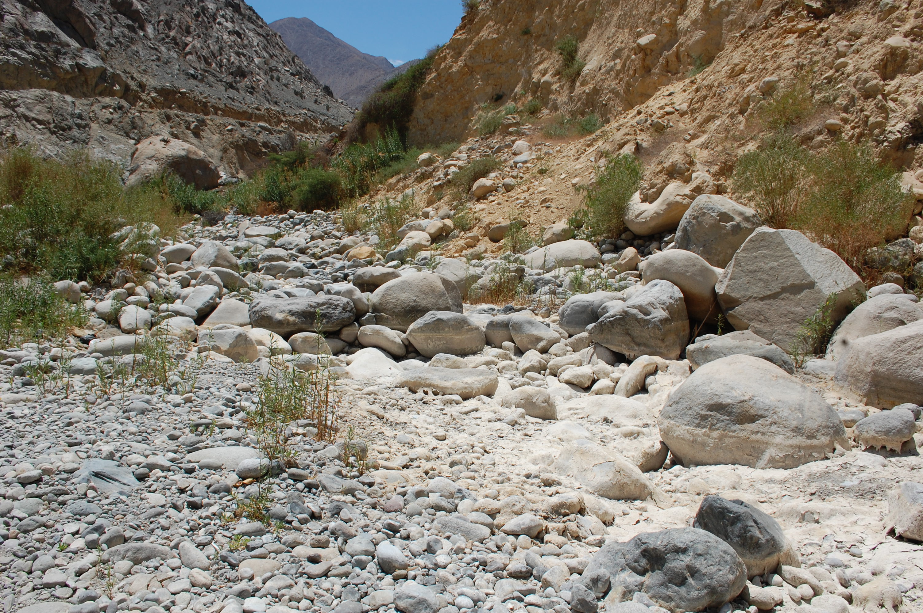 Site T01A - View upstream from the study site. (John Forrest)