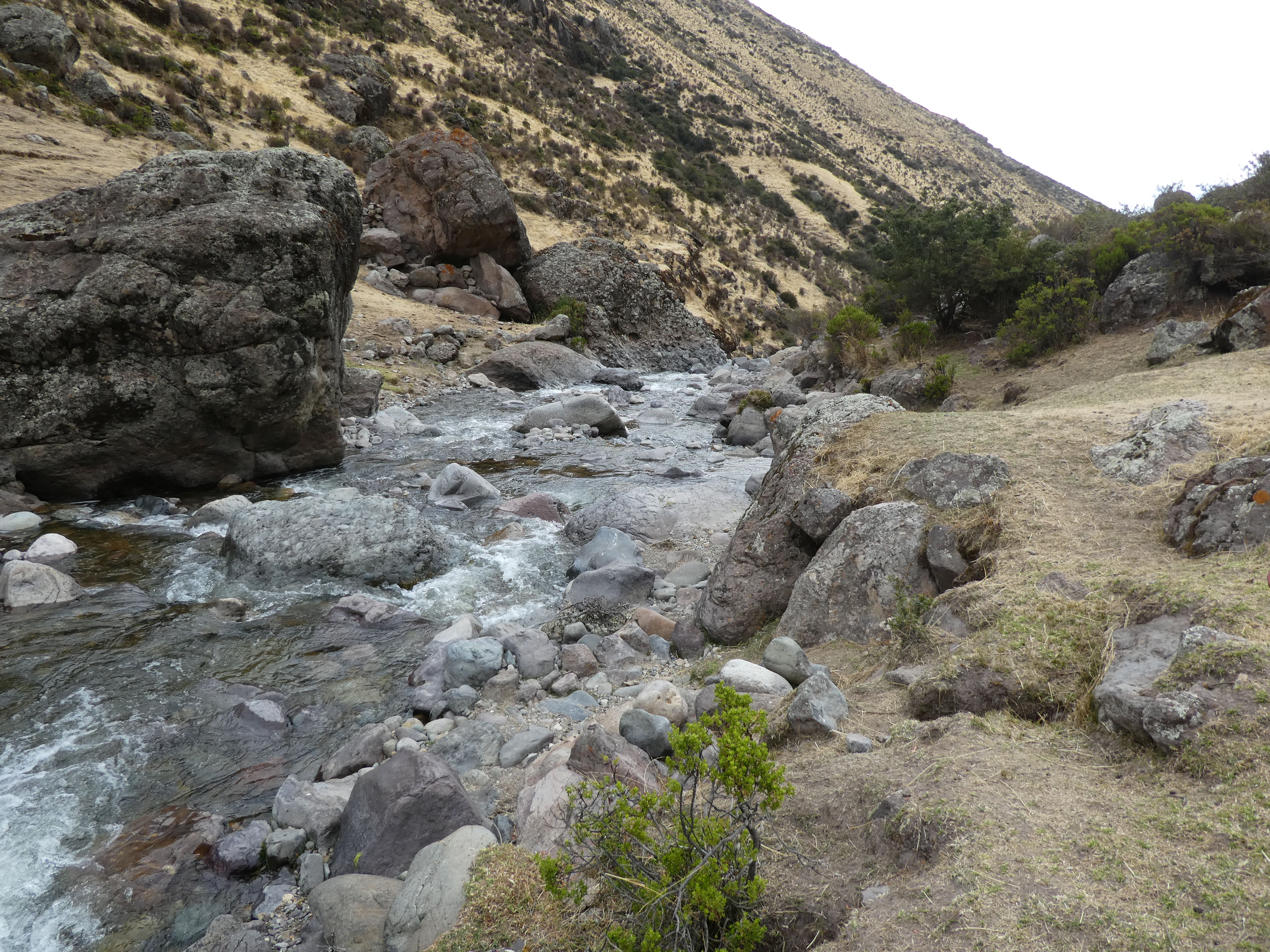 Site T01C - the view downstream. (John Forrest)