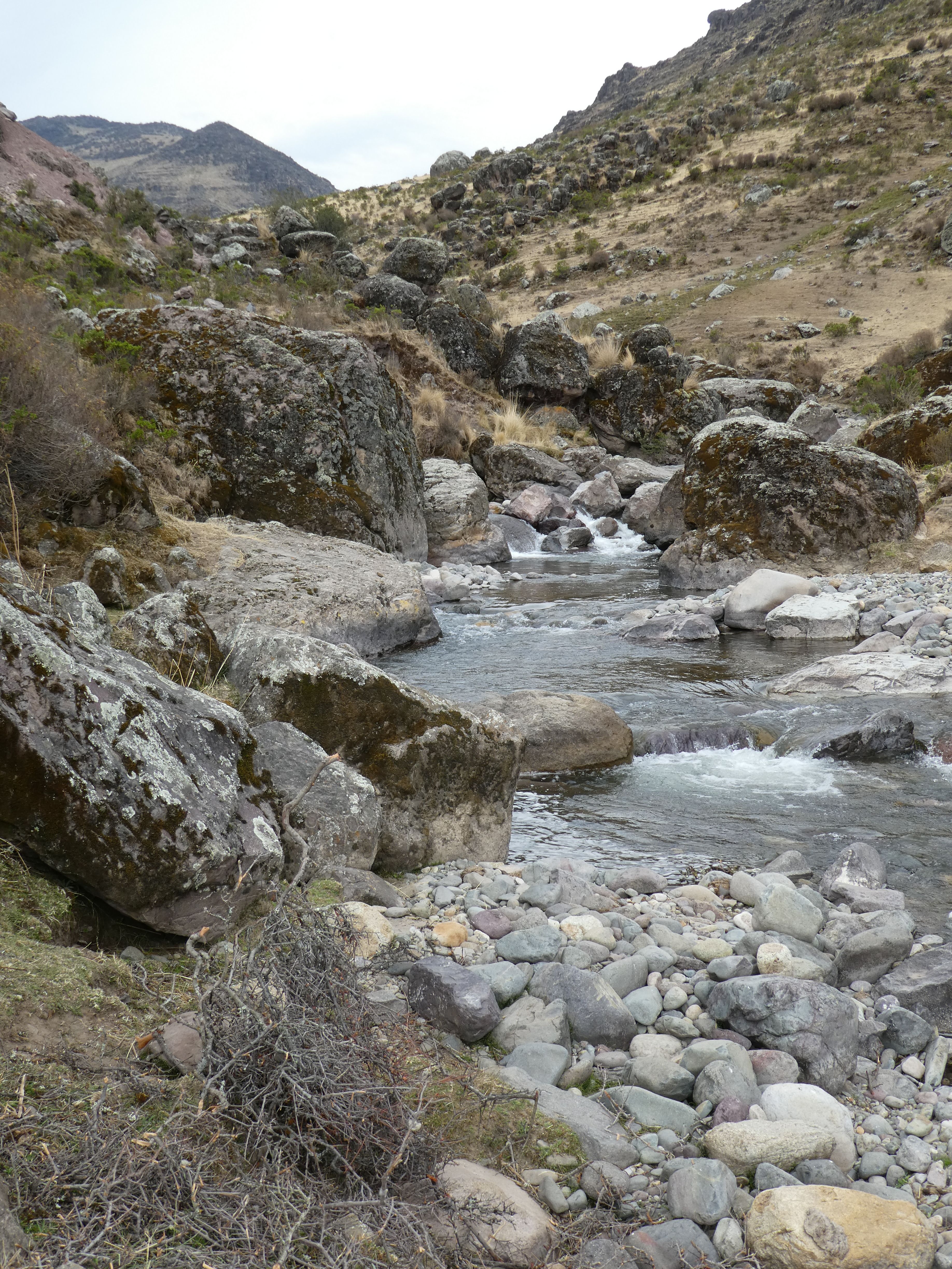 Site T01C - the view upstream. (John Forrest)