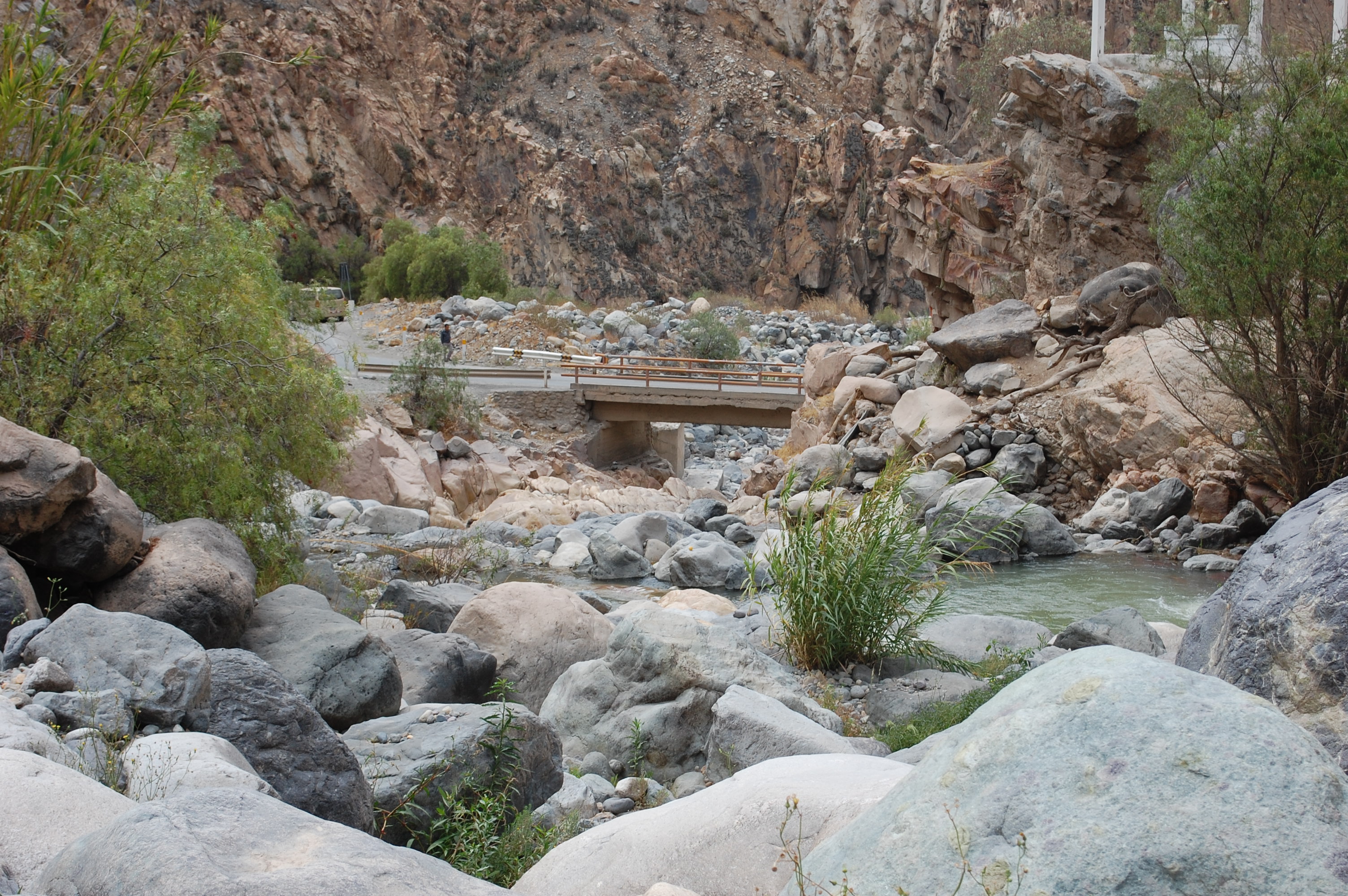 Site T04A - View downstream from the study site. (John Forrest)