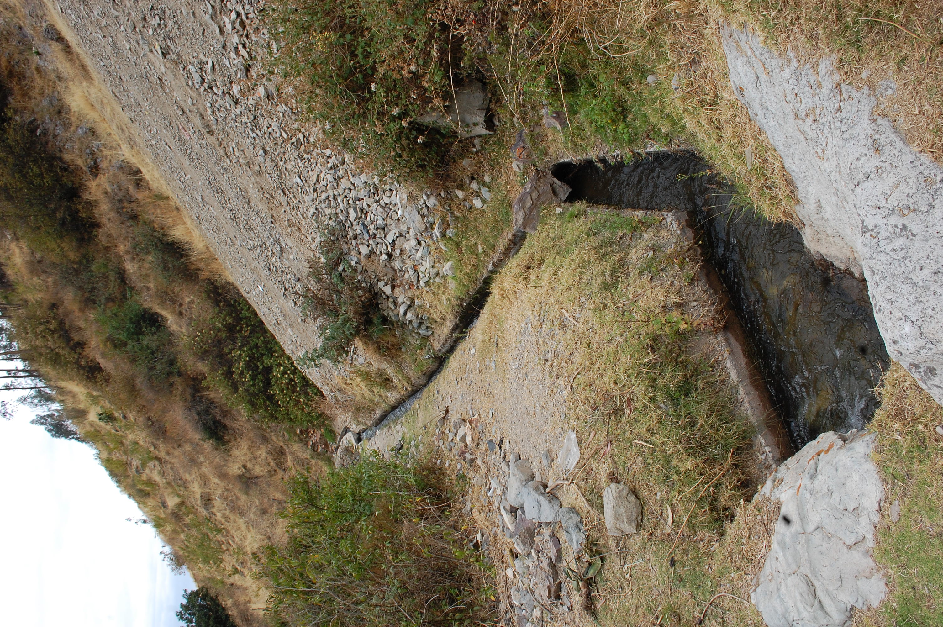 Site T04B - View downstream from the study site. (John Forrest)