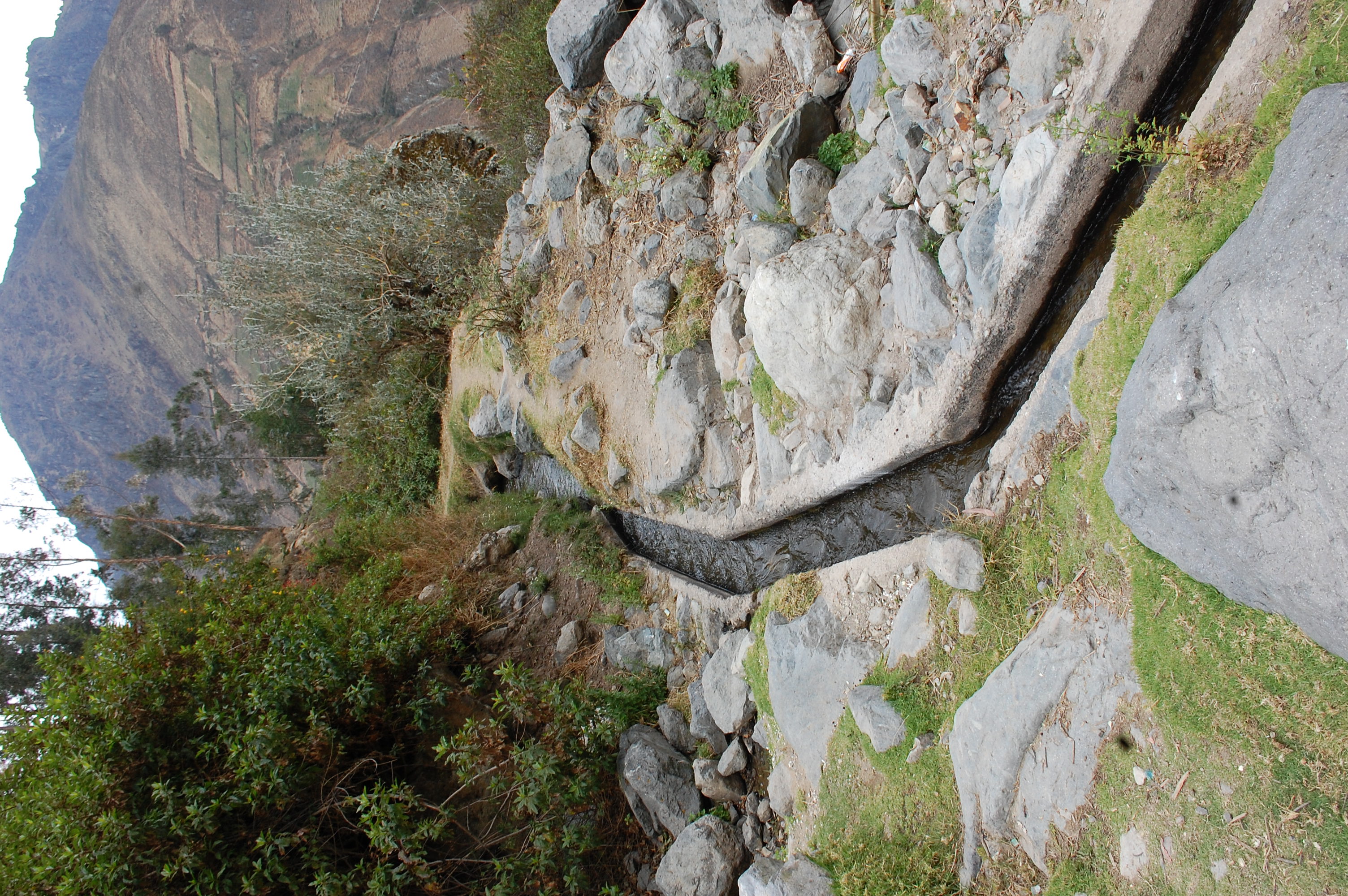 Site T04B - View downstream from the study site. (John Forrest)