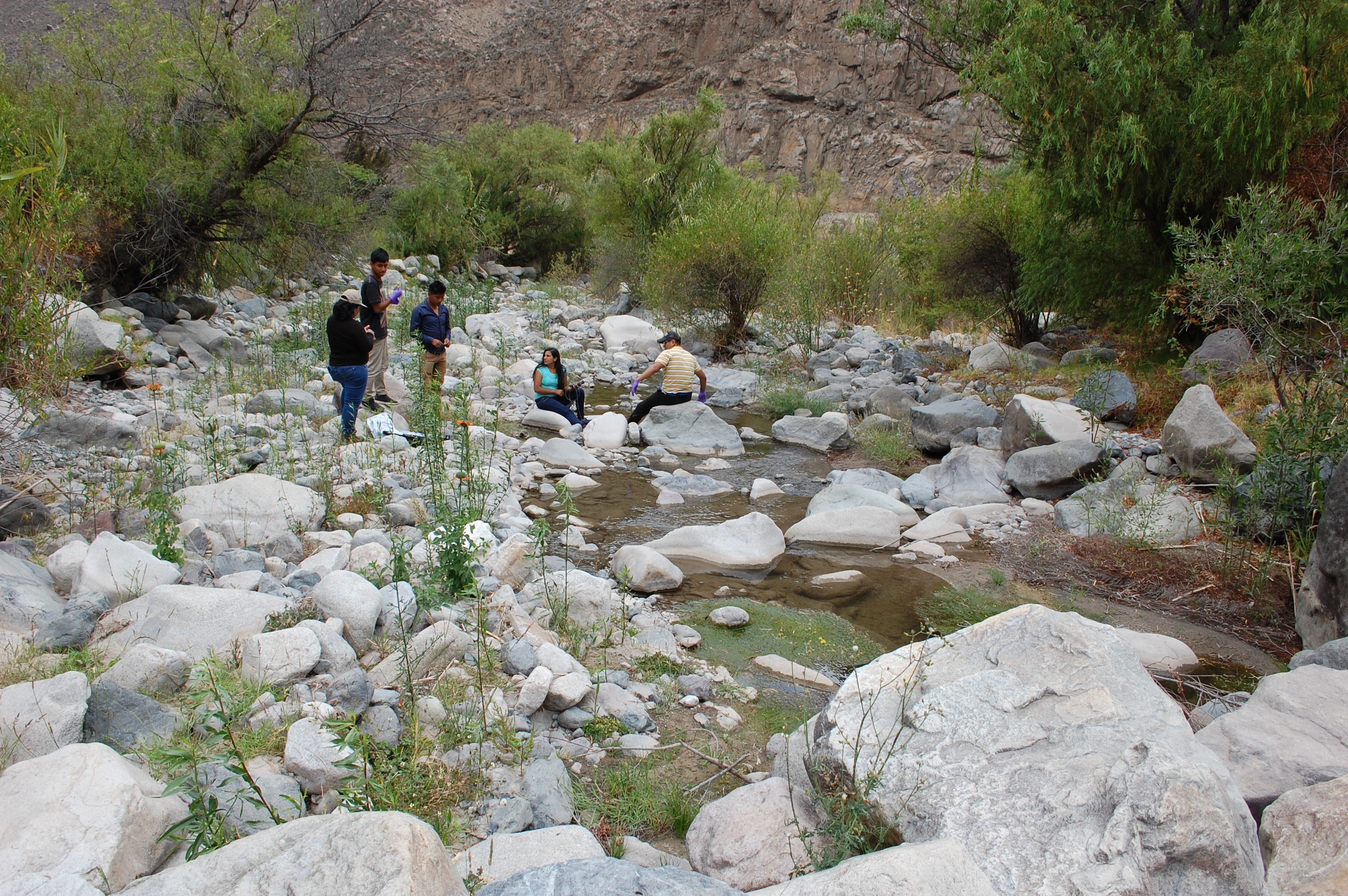 Site T05A - View downstream from the study site. (John Forrest)