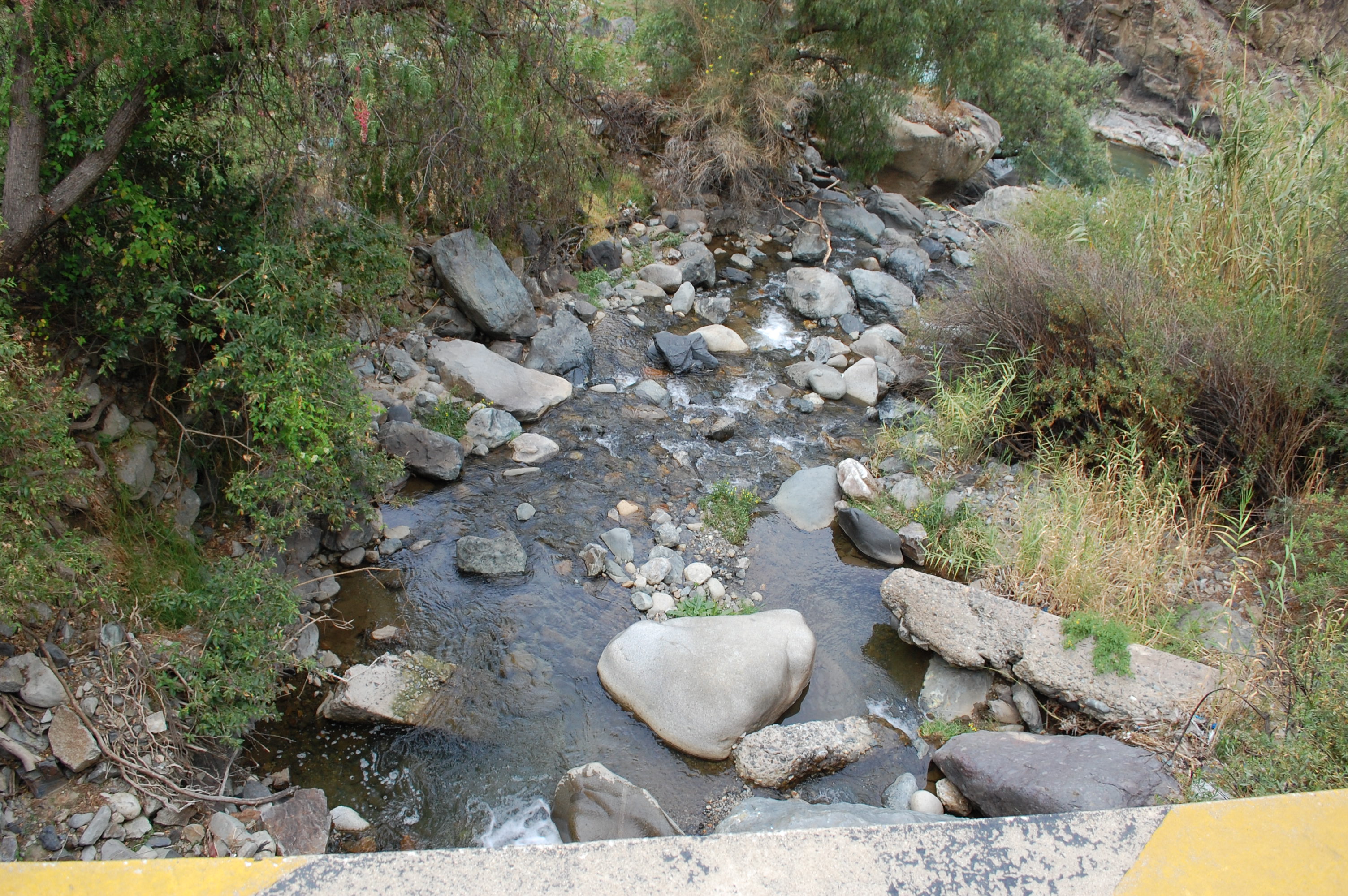 Site T06A - View downstream from the study site. (John Forrest)