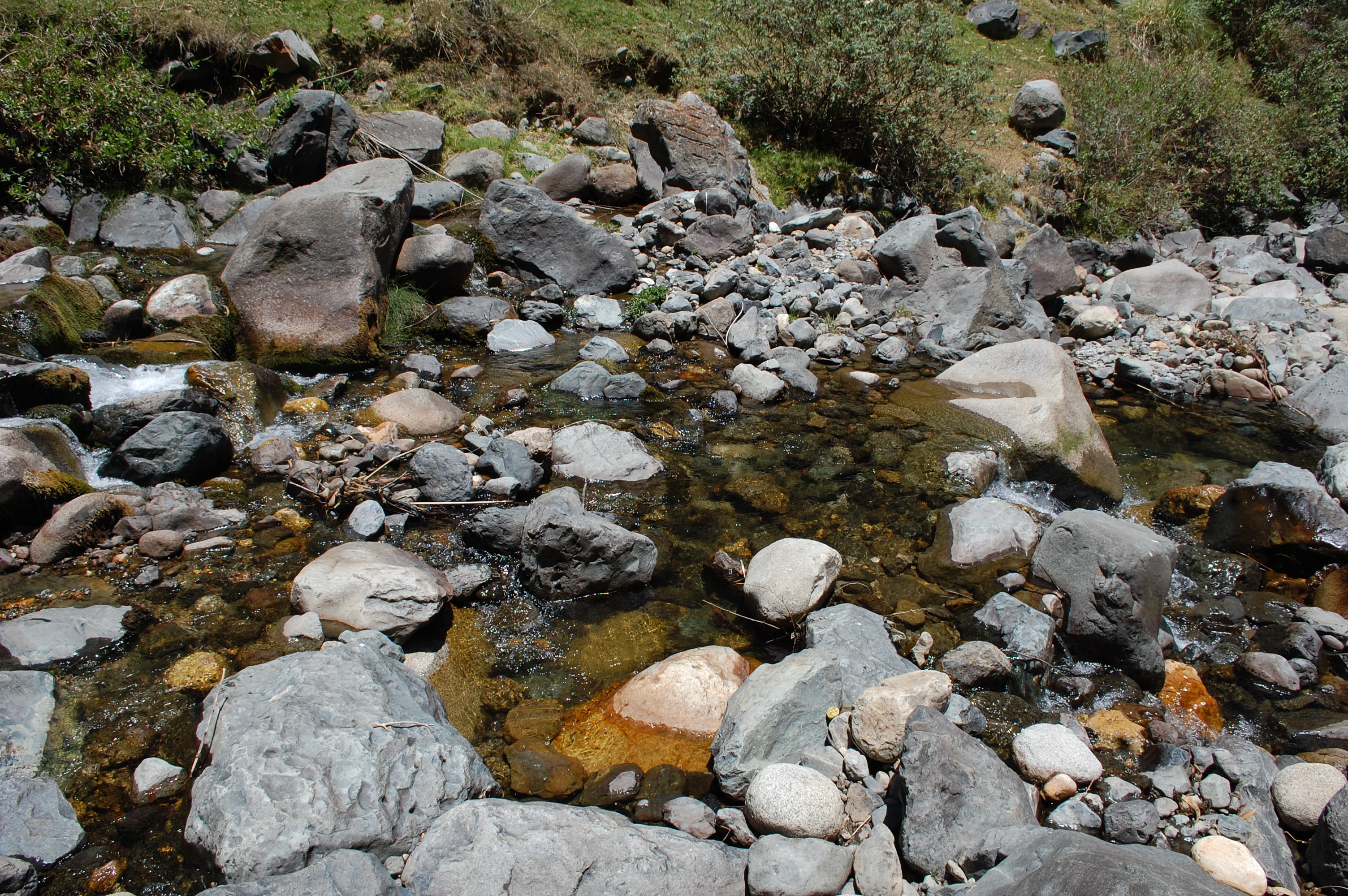 Site T06B - the study site. (John Forrest)