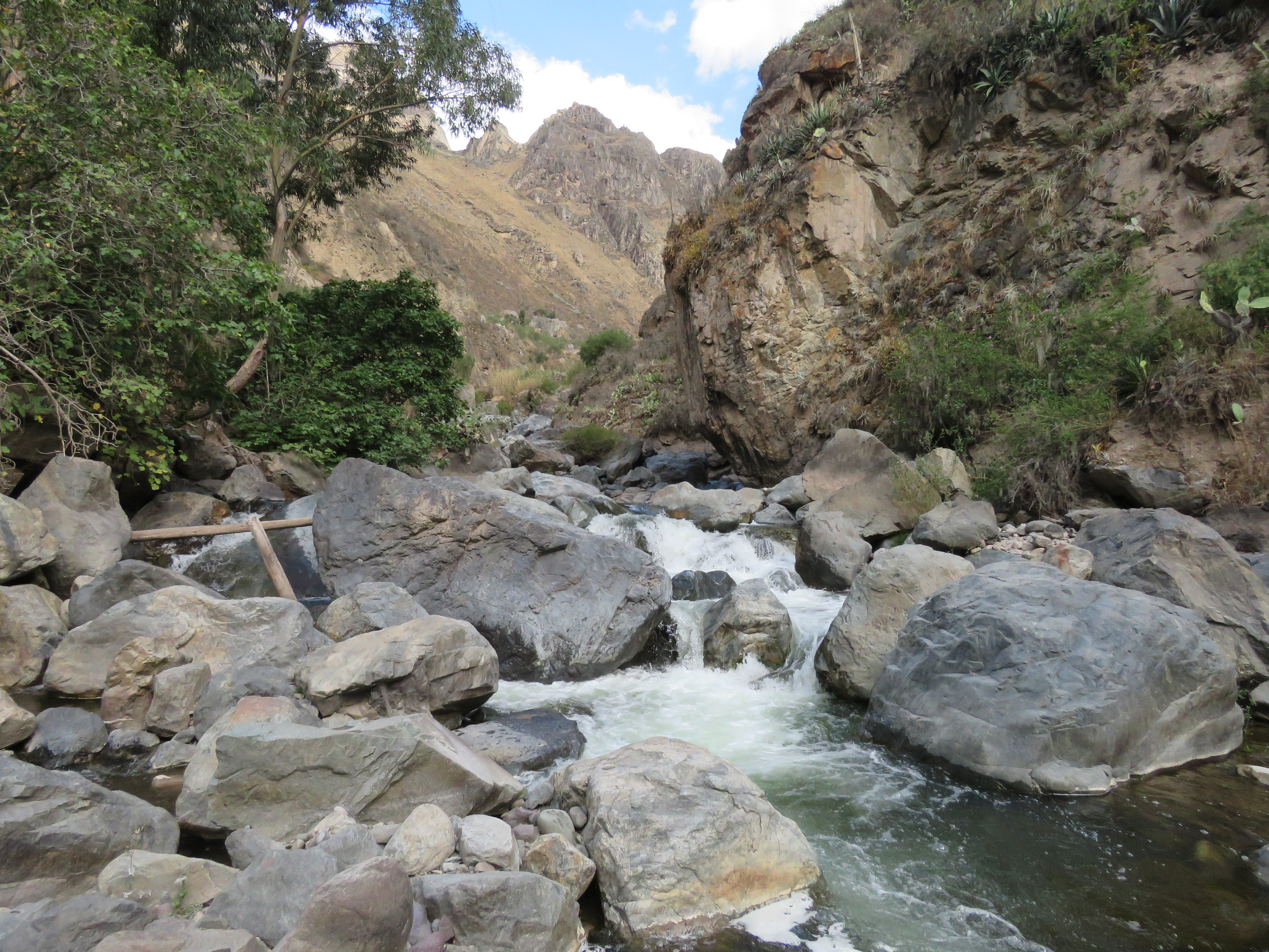 Site T07A - View upstream from the study site. (John Forrest)