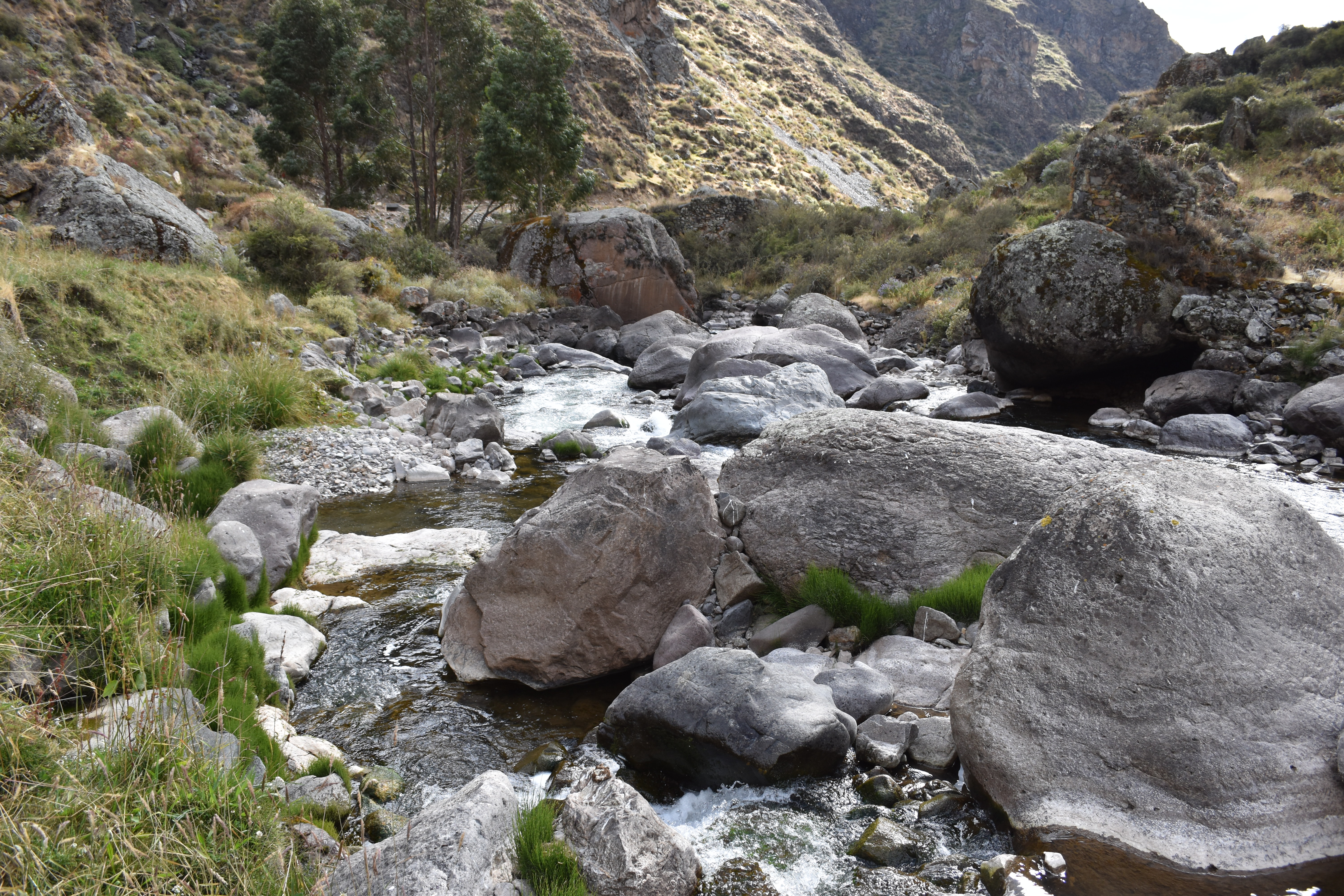 Site T07B - View downstream from the study site. (John Forrest)