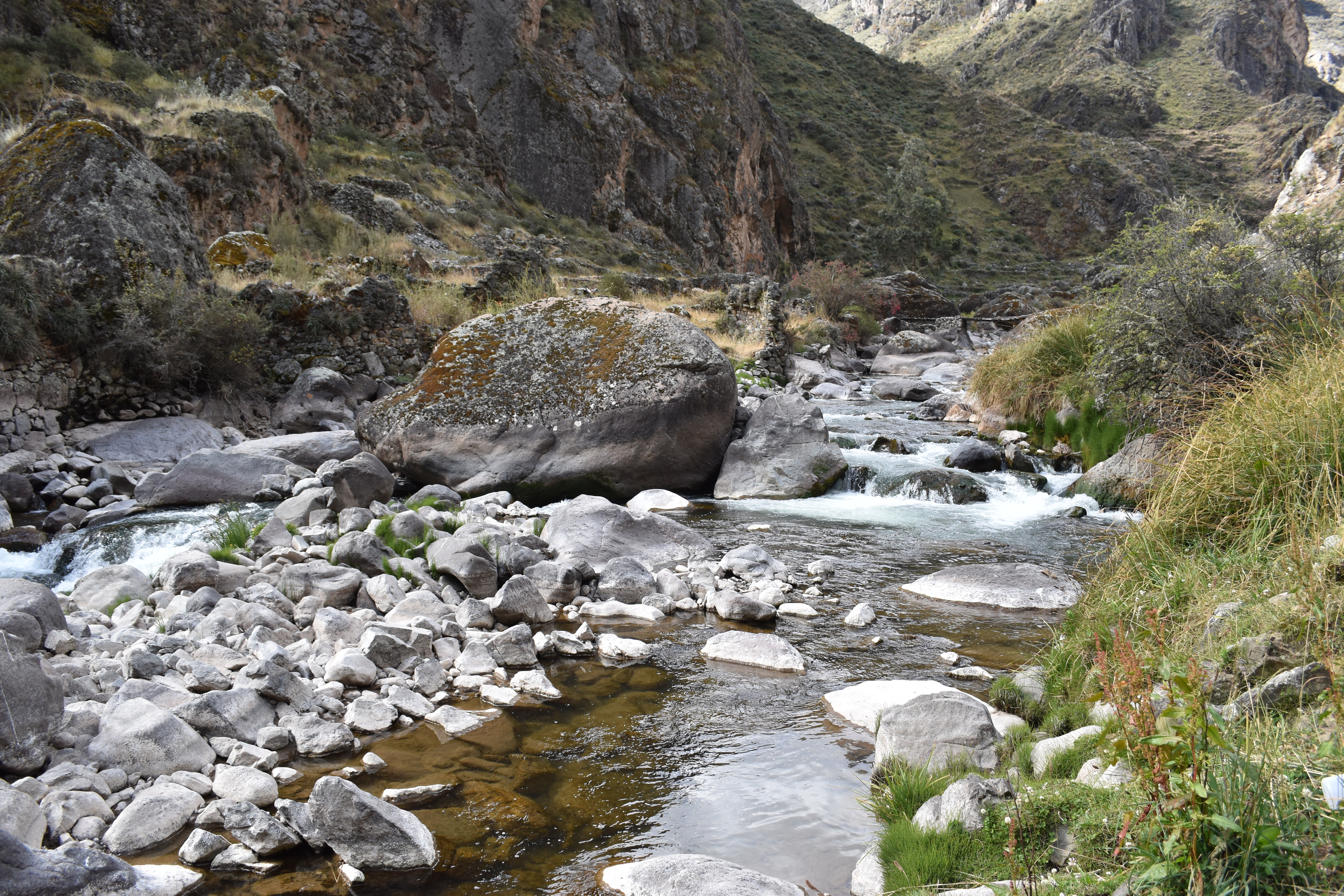 Site T07B - View upstream from the study site. (John Forrest)