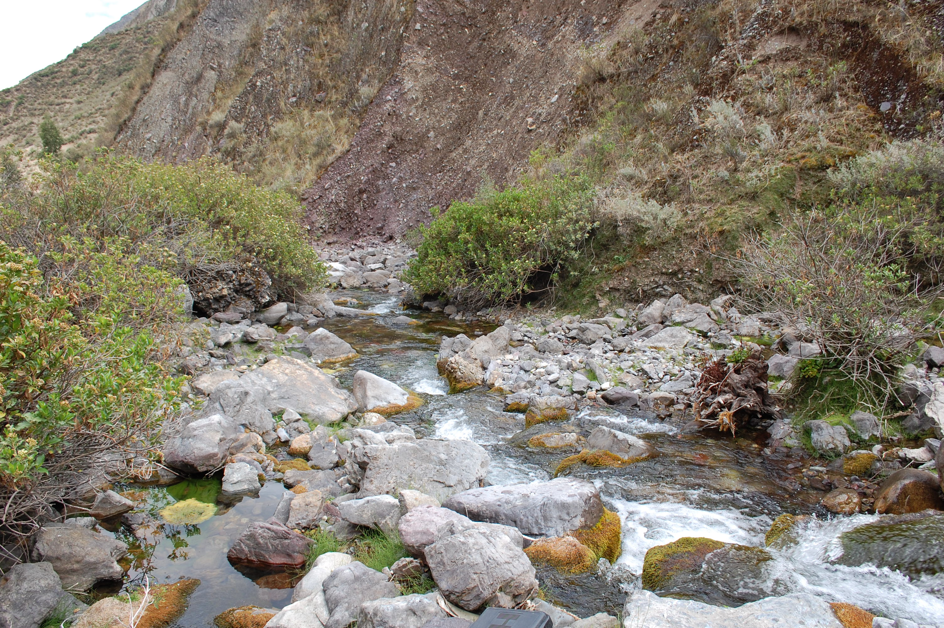 Site T08B - View downstream from the study site. (John Forrest)