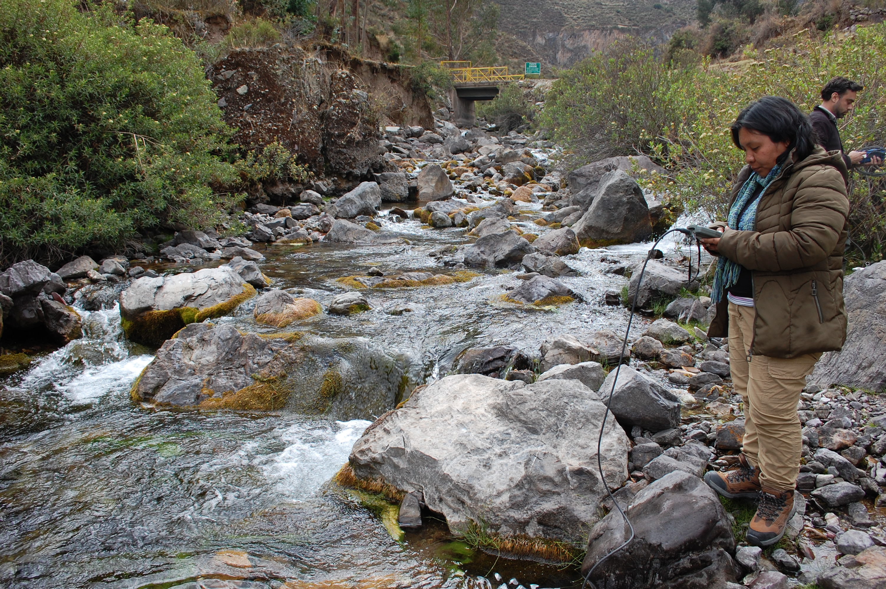 Site T08B - View upstream from the study site. (John Forrest)