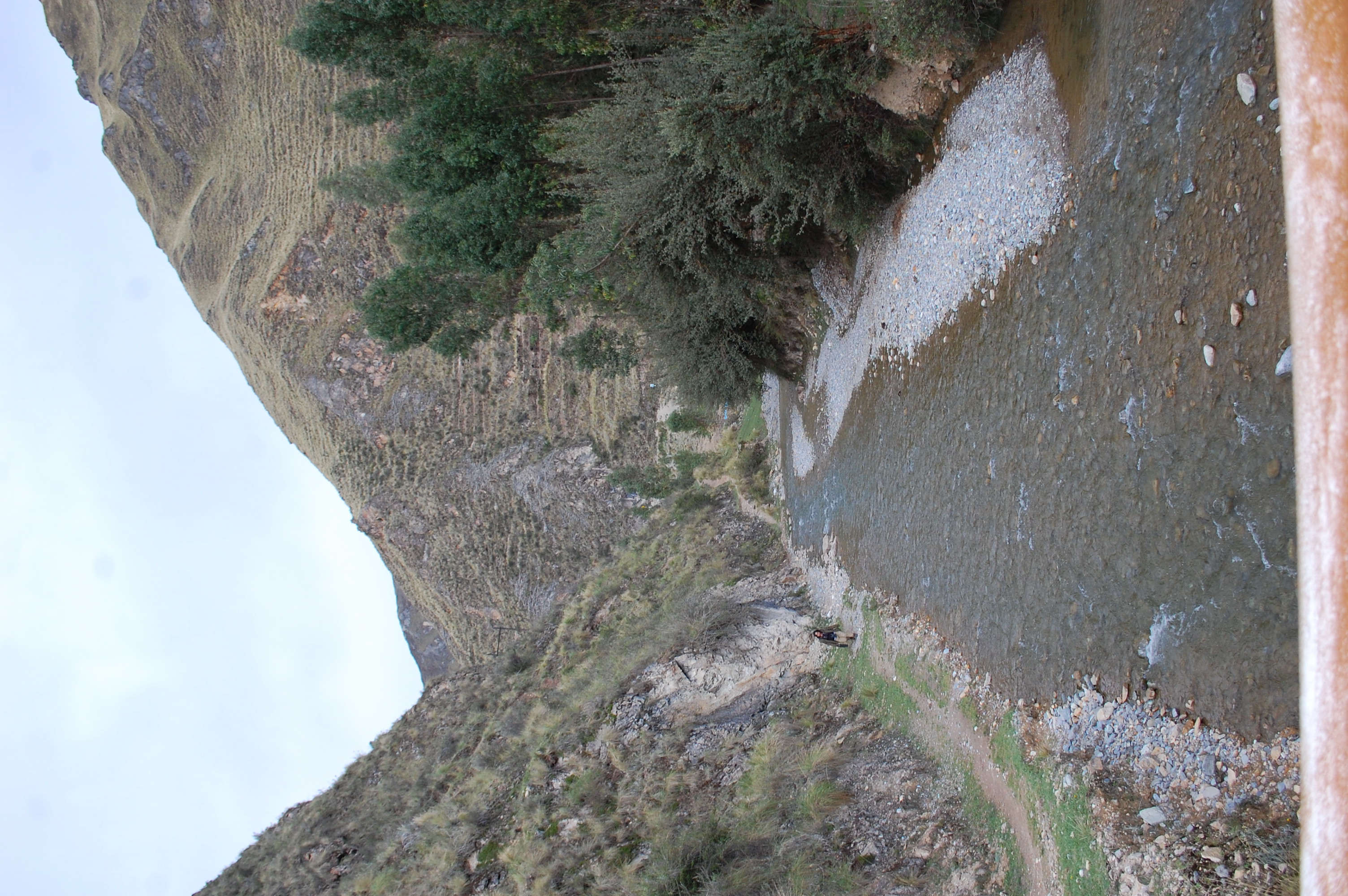 Site T09B - View upstream from the study site. (John Forrest)